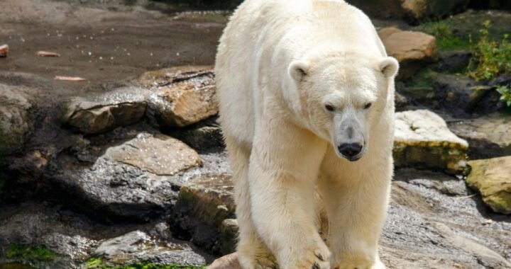 Global Climate Change Updates 2026: What You Need to Know