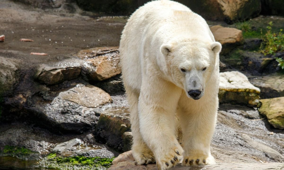 Global Climate Change Updates 2026