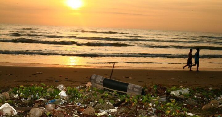 Water Pollution: Sources and Prevention Methods