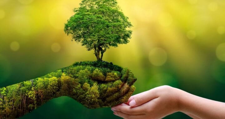 The Future of Sustainable Living