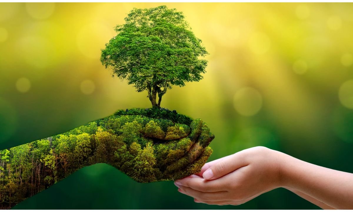 The Future of Sustainable Living